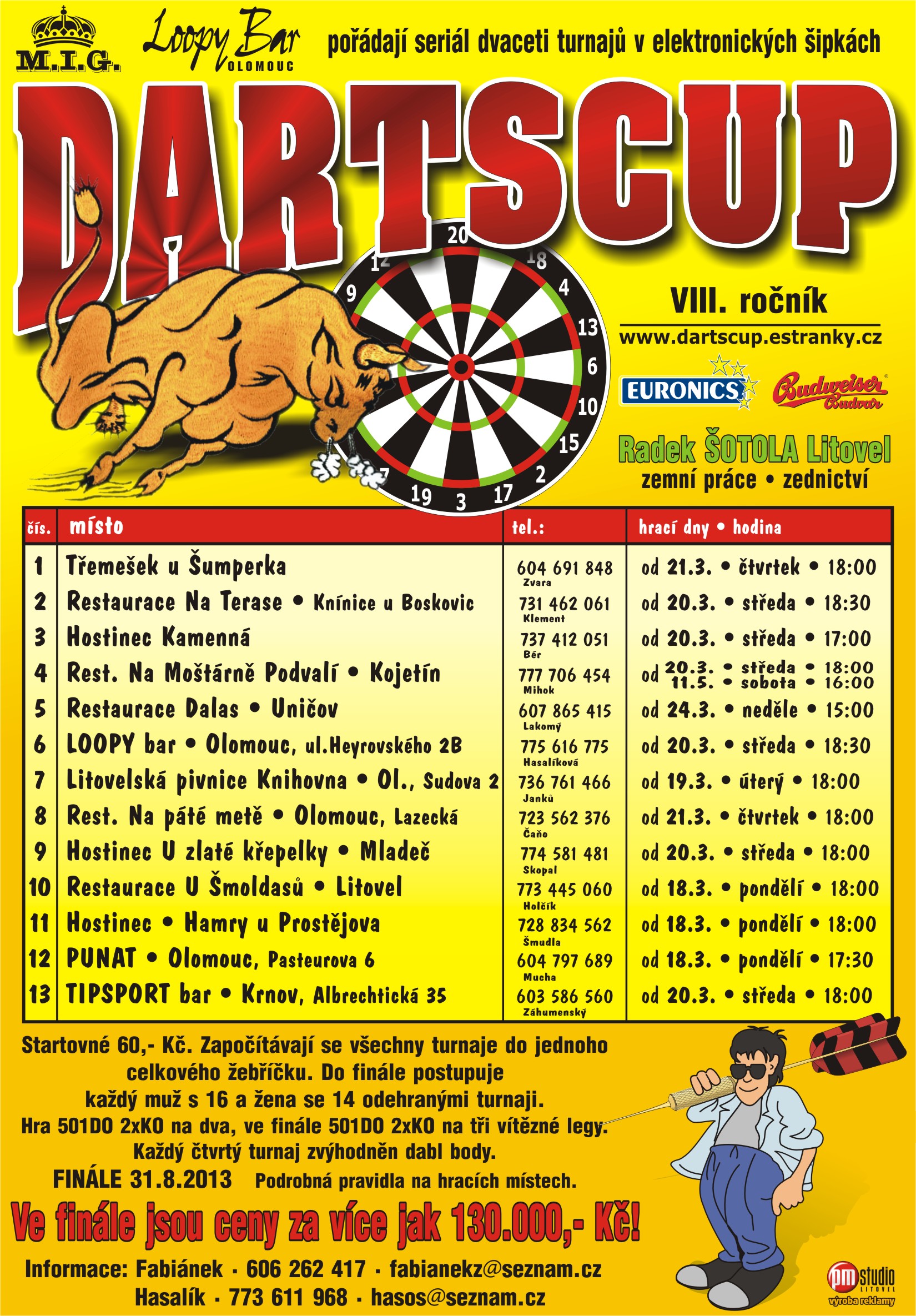 dartscup-2013